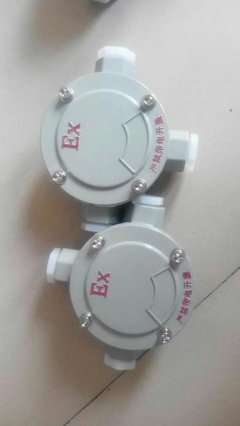 鑄鋁防爆接線盒AH-3/4及BXX防爆檢修箱/電源插座箱產(chǎn)品解析與市場(chǎng)參考